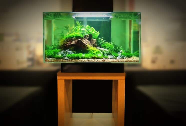 30 gallon tankudstyr