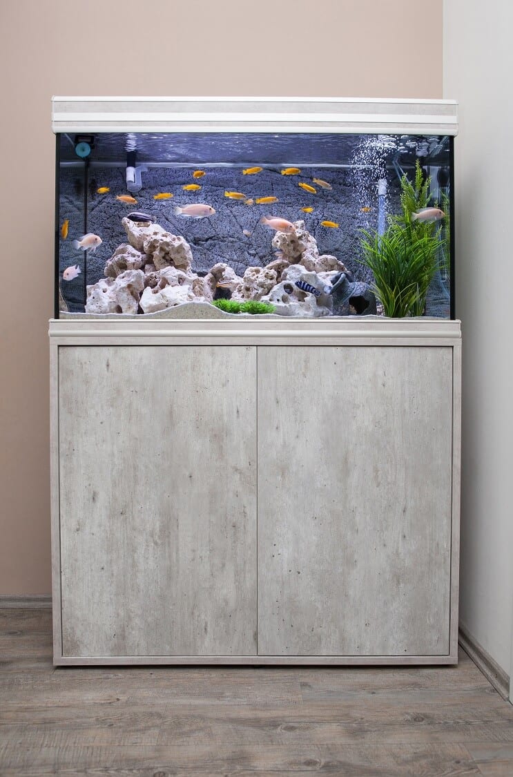 Opsætning af en 30 gallon tank
