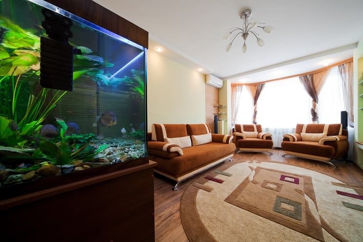 Opsætning af en 40 gallon tank