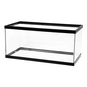 Aqueon 40 Gallon opdrættertank