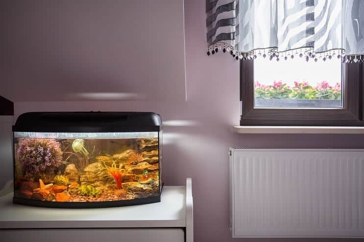 Lille tank