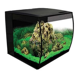 Bedste 15 Gallon Starter Kit