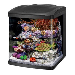 Bedste premium 15 gallon tank