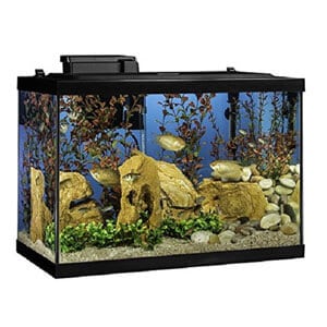 Bedste 20 Gallon Aquarium Starter Kit