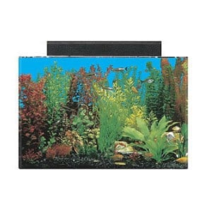 Bedste 20 gallon akvarium