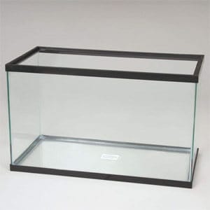Mest overkommelige 20 Gallon akvarium