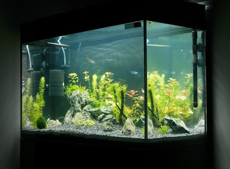 20 gallon langt udstyr