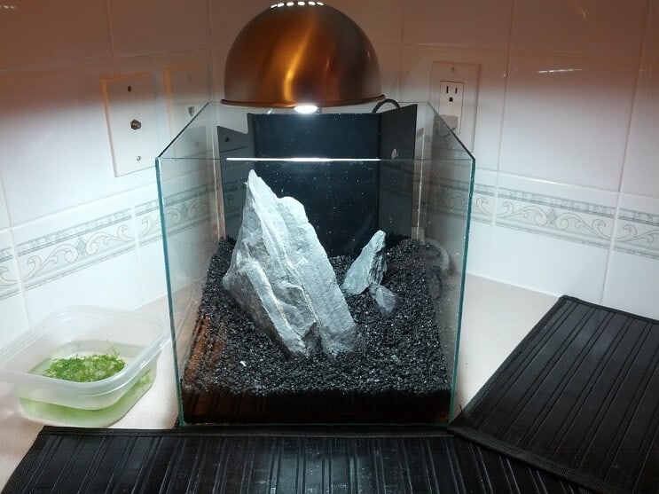 3 gallon tankopsætning