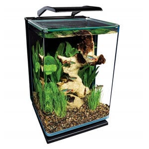Mest overkommelige 5 gallon akvarium