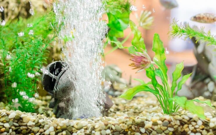 Akvariedekoration med luftsten