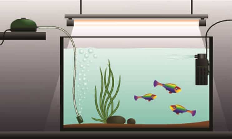 Akvarium luftpumpe opsætning