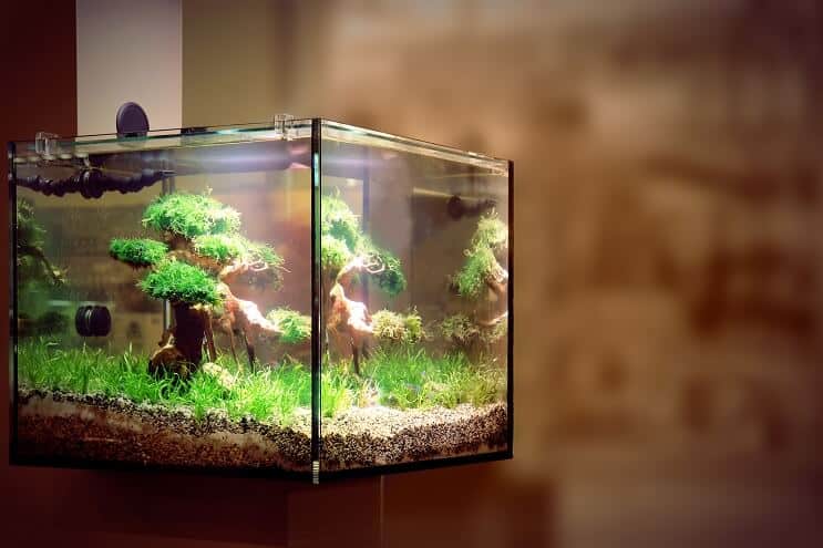 LED akvariumbelysning