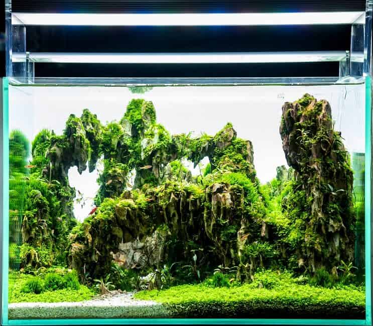 LED-belysning på tank