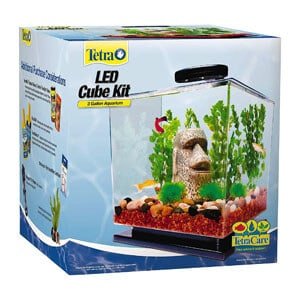 Tetra terningformet akvarium