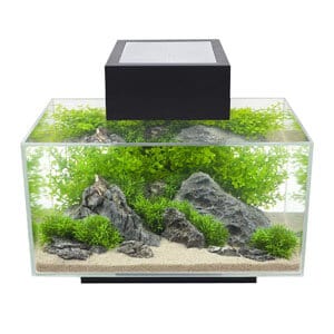Stilfuld 6 gallon tank