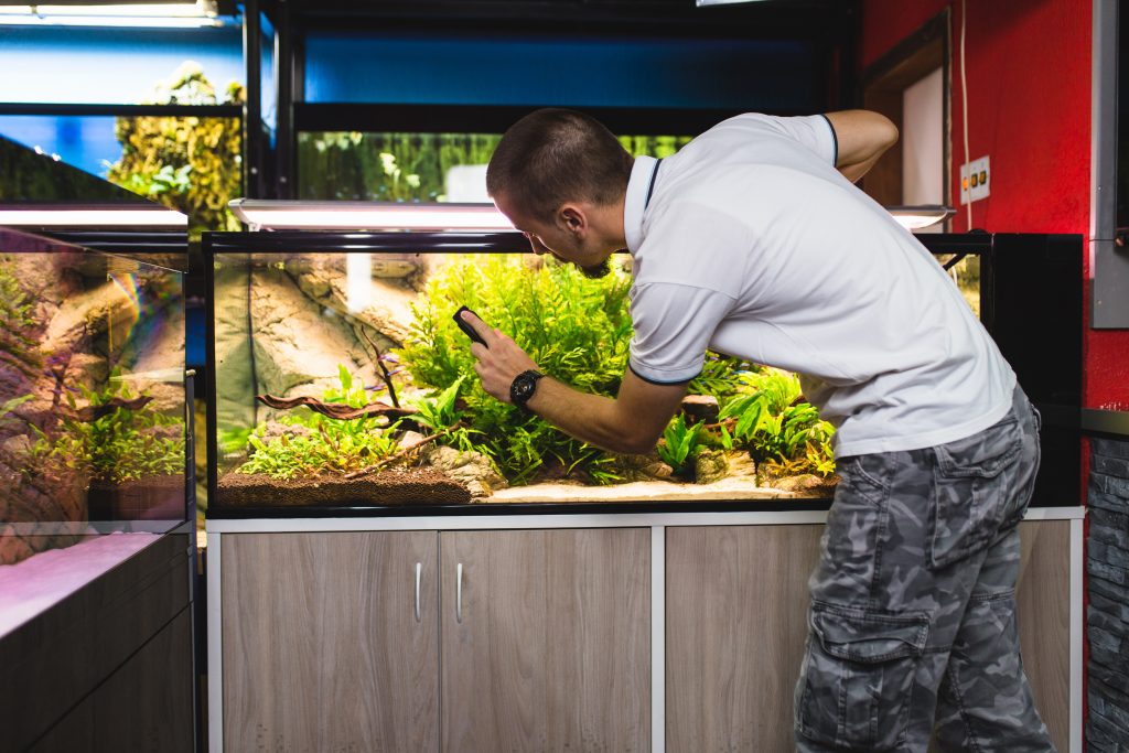 Sådan bygger du en akvarium