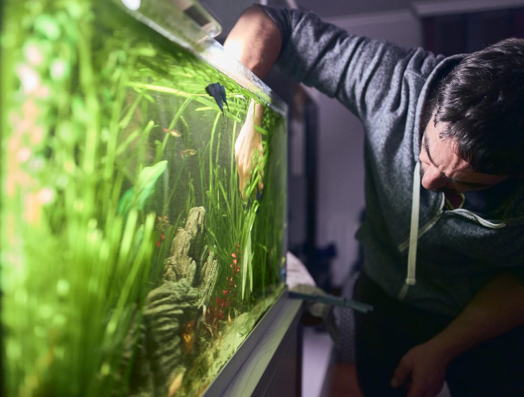 Sådan bygger du en akvarium