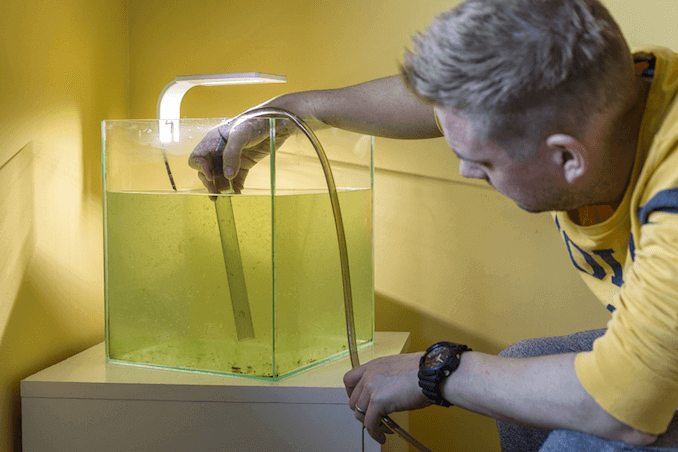 Siphoning vand fra tanken
