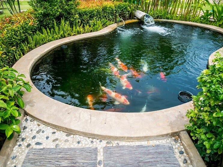 Koi Pond Udstyr