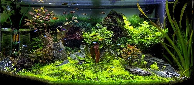 Akvarium