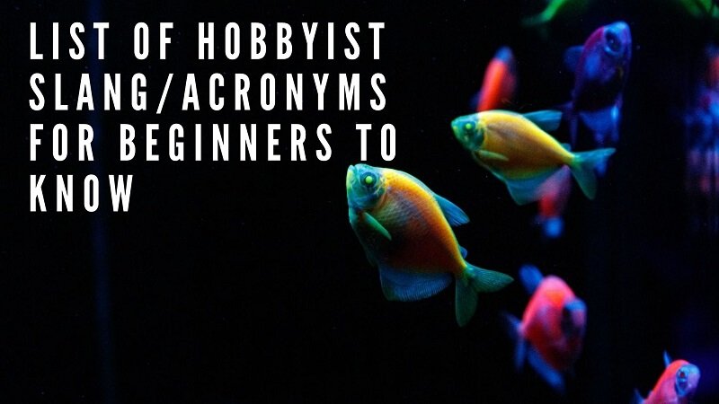 liste over hobbyist slang_acronyms for begyndere at vide