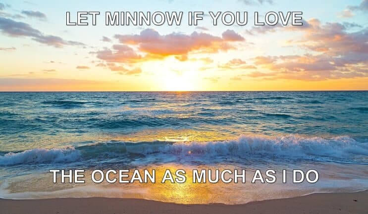 Lad Minnow