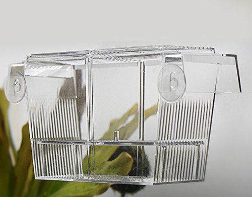 PETS ISLAND Akvariefisk Avlsbokse Dobbelt guppies Hatching Inkubator Isolation Box (7,7 in)