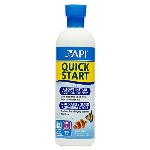 API HURTIG START Ferskvands- og saltvandsakvarium Nitrifiserende bakterier 16-ounce flaske