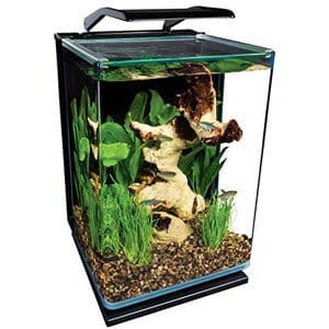 Lille akvarium Ideel til bordplade Paludarium